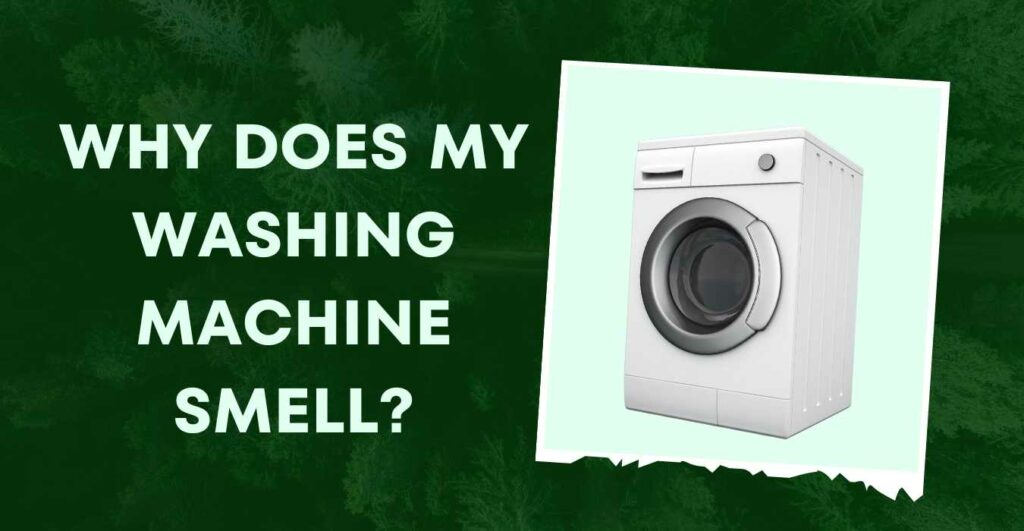WHY DOES MY WASHING MACHINE SMELL